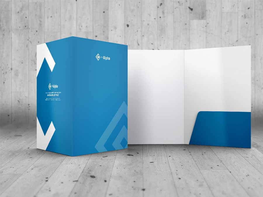 Thiết kế logo, CIP _ Công ty Nhôm An Lập Phát