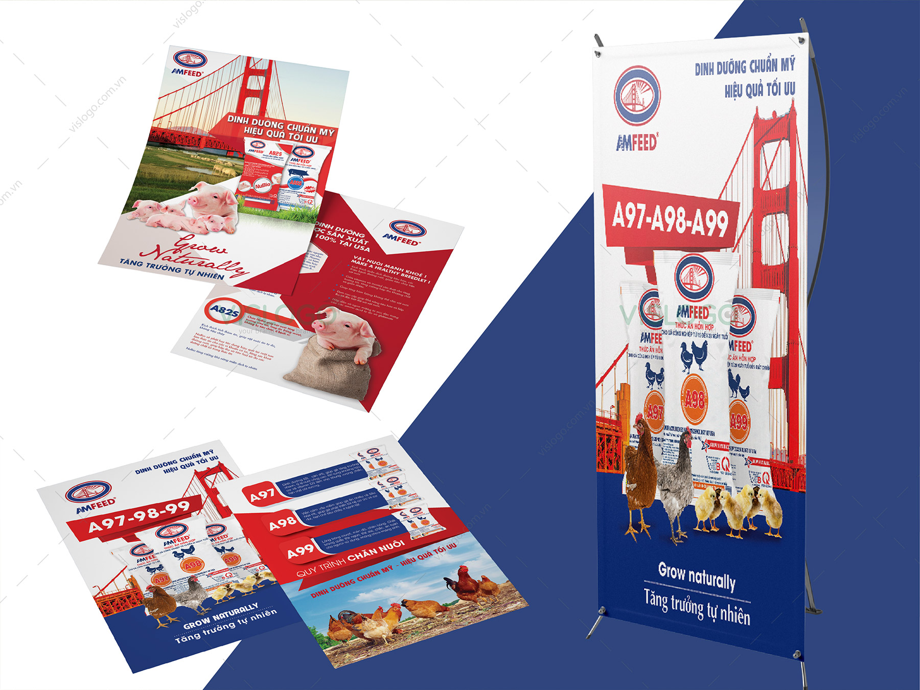 Thiết kế logo, nhận diện thương hiệu, profile, bao bì Thức ăn chăn nuôi AMFEED